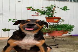 Miniatura publicación